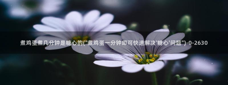 糖心vlog视频免费看