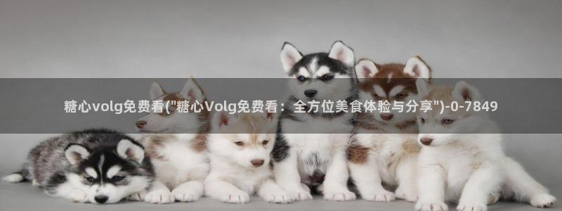 vlog糖心网站