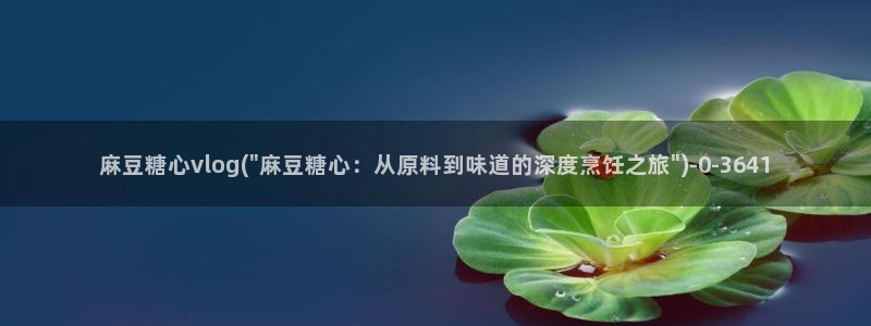 糖心vlog直播